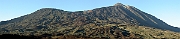 David Plant Photography - Wildlife Photographer - El Teide - Tenerife